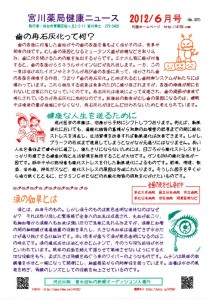 Miyagawa201206